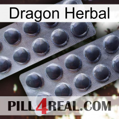 Dragon Herbal 31